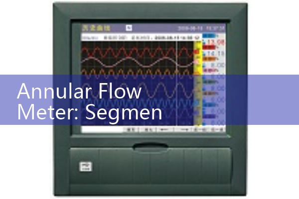 Annular Flow Meter: Segmented Wedge Differential Pressure Processing Sensors